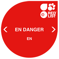IUCN Red List : espèce en danger