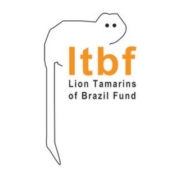 Lion Tamarins of Brazil Fund partenaire conservation du Zoo d'Asson